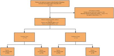 Nomogram combining clinical and radiological characteristics for predicting the malignant probability of solitary pulmonary nodules measuring ≤ 2 cm